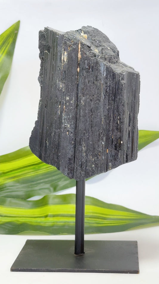 Tourmaline on Stand 1114g