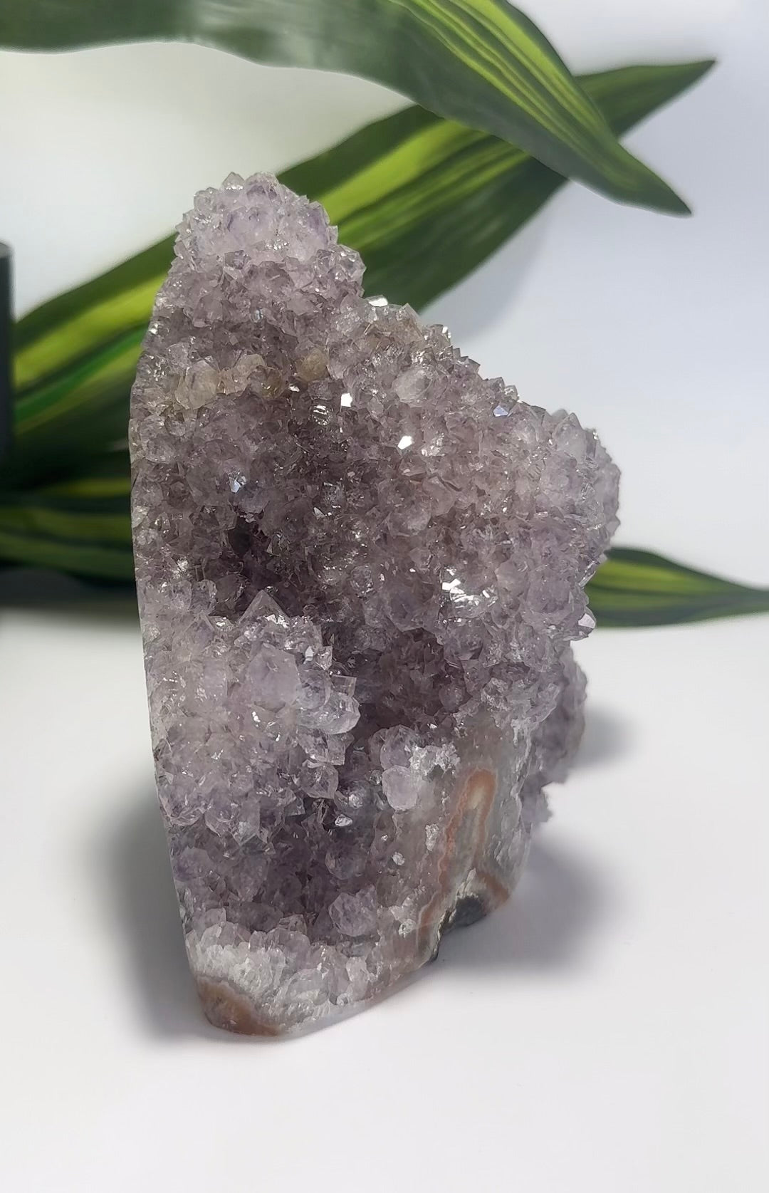 Amethyst Cluster Freeform 1.1kg