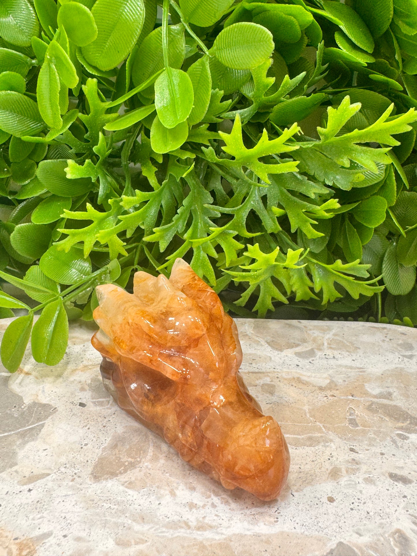 Golden Healer Dragon Skull 156g