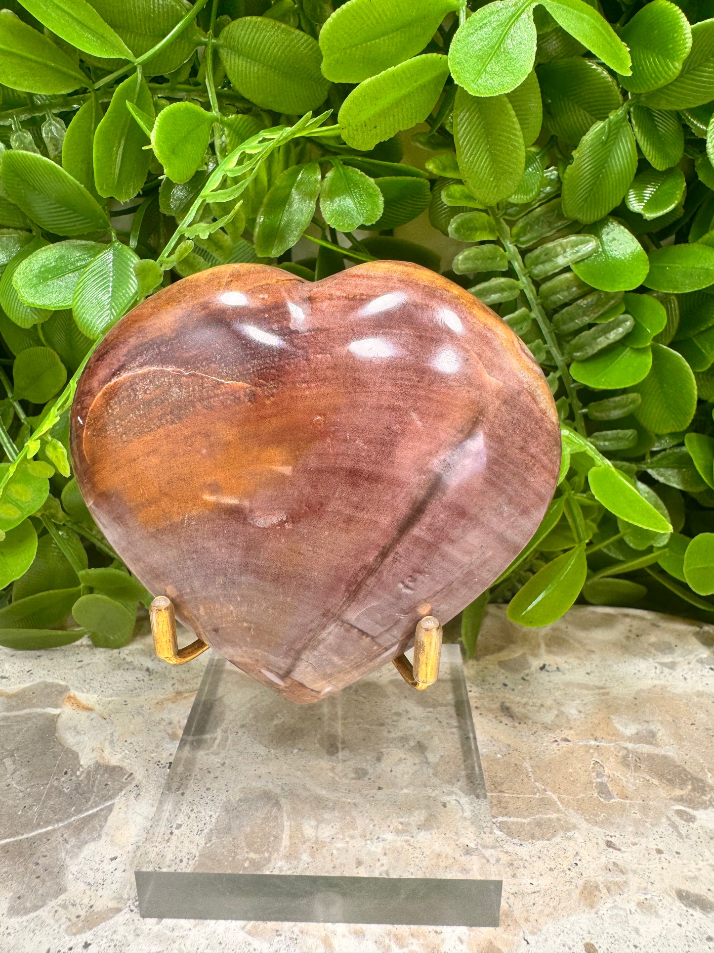 Petrified Wood Heart 266g