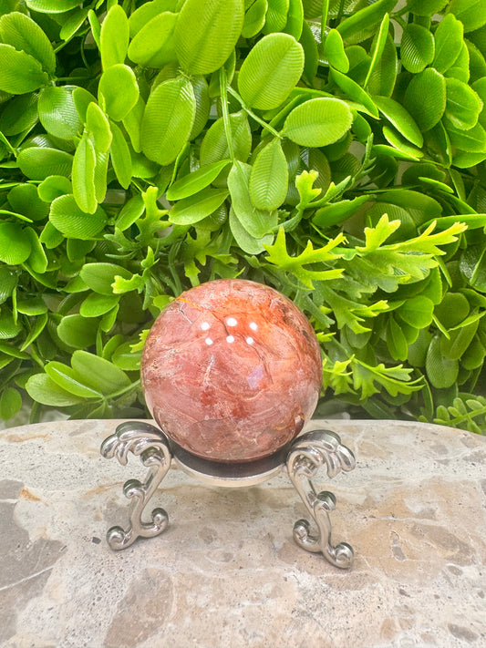 Petrified Wood Sphere 196g