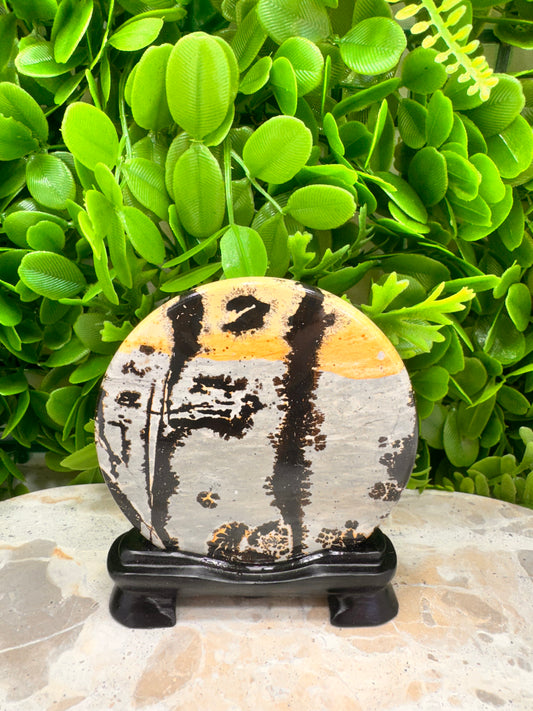 Picture Jasper on Stand 136g
