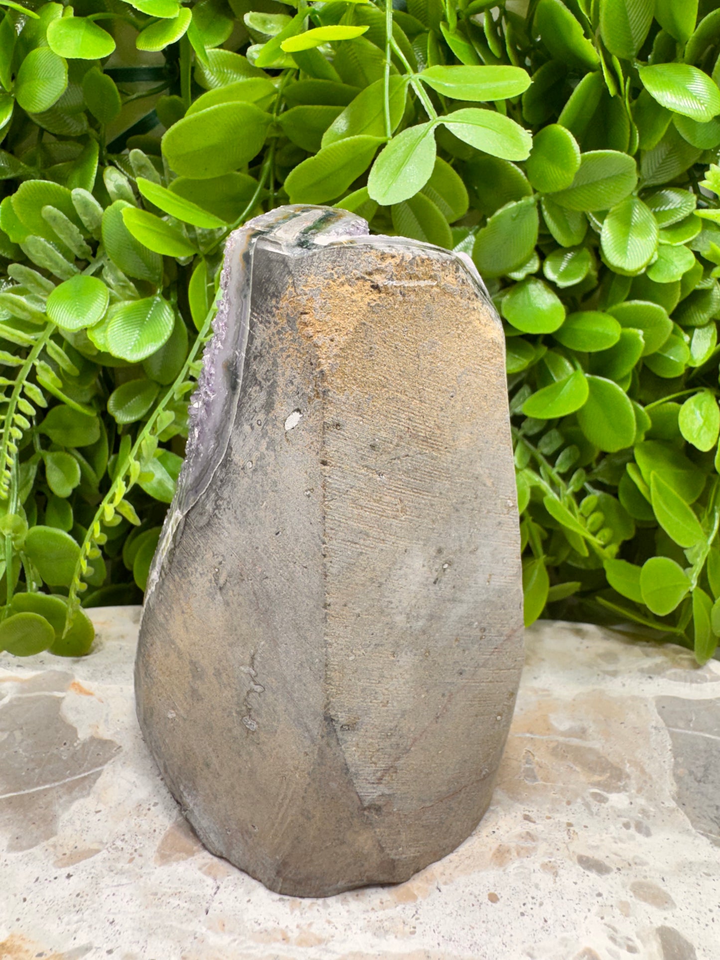 Amethyst Freeform 1446g