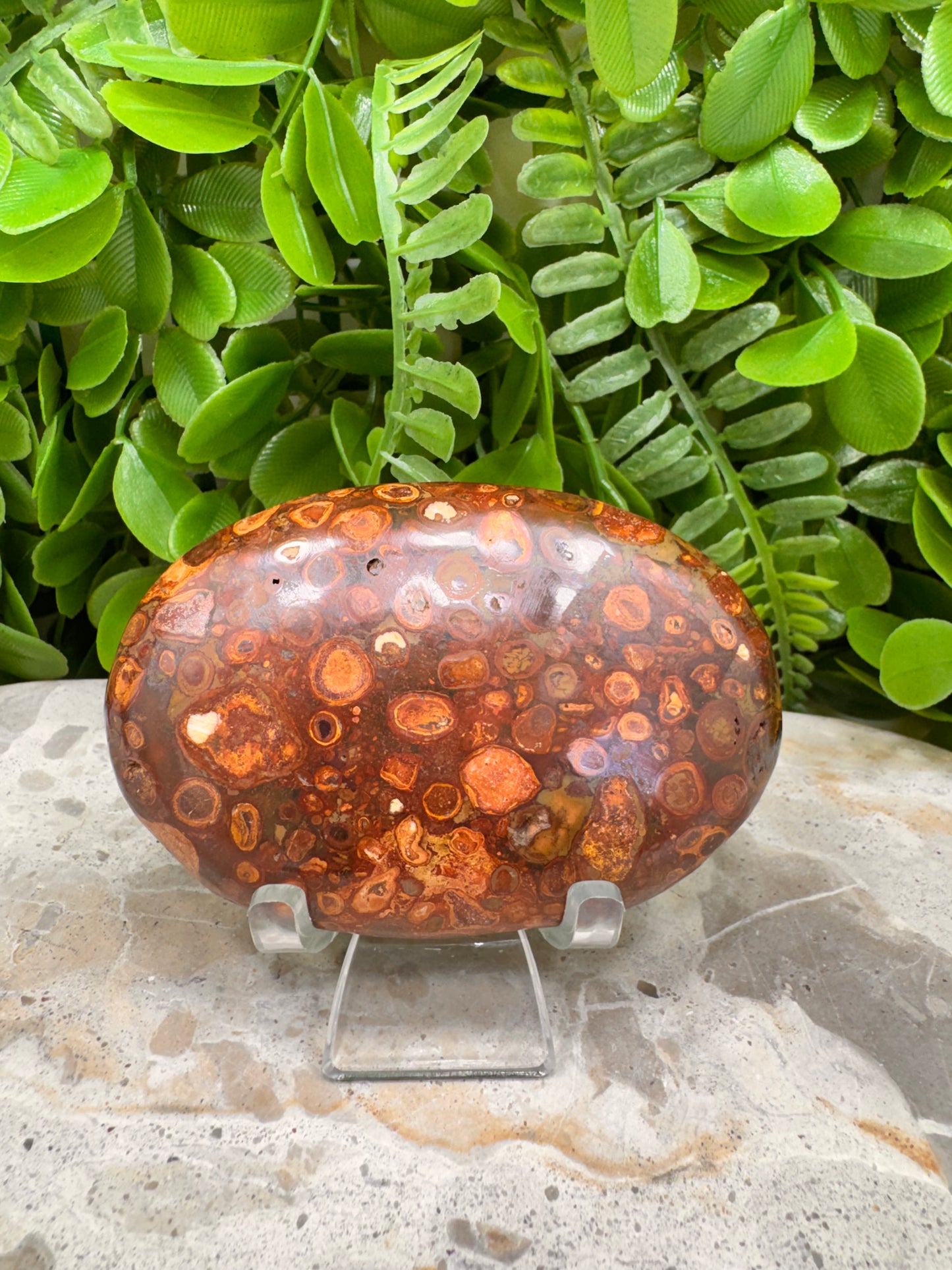 Coral Fossil Japser Palmstone 192g