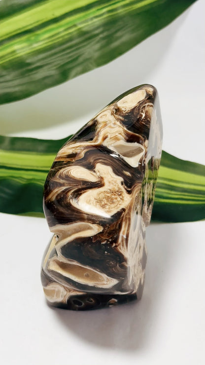 Chocolate Calcite Freeform 484g