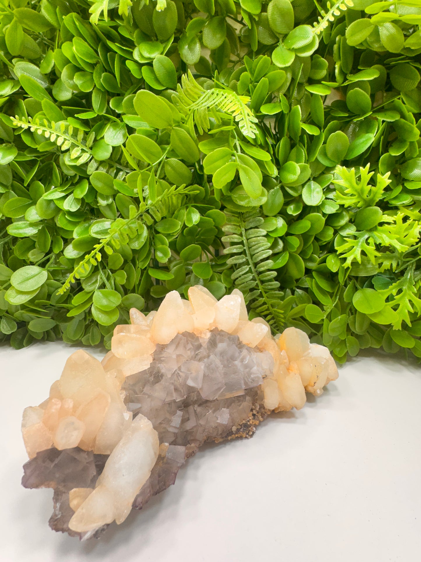 Apophyllite with Fluorite Raw 1630g