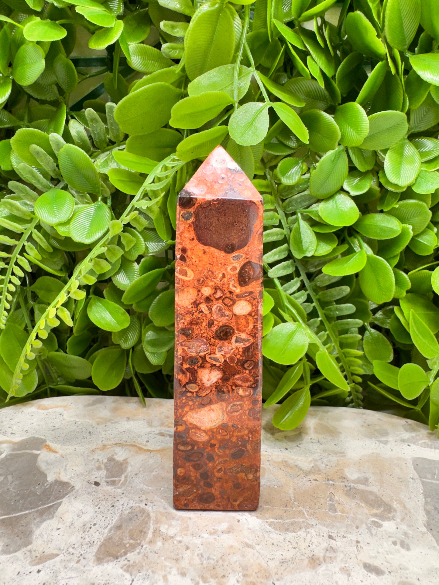 Coral Fossil Jasper Tower 236g