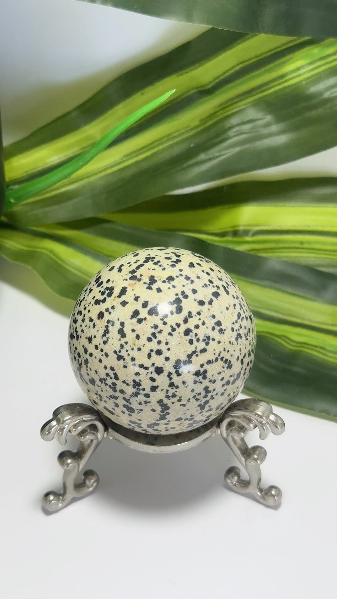 Dalmation Jasper Sphere 202g