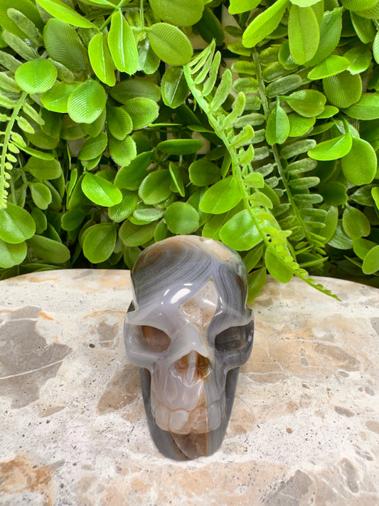Agate Druzy Skull 262g