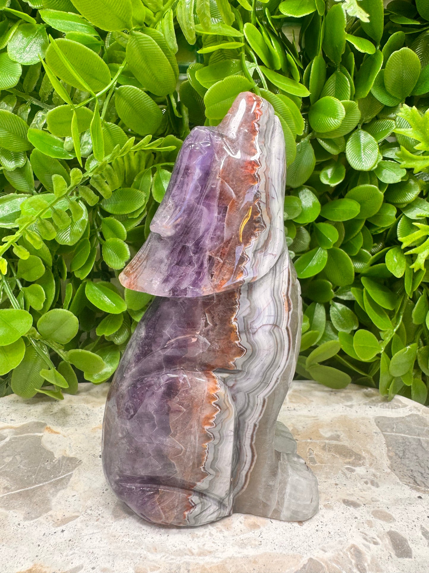Amethyst/Mexican Agate Wolf 610g