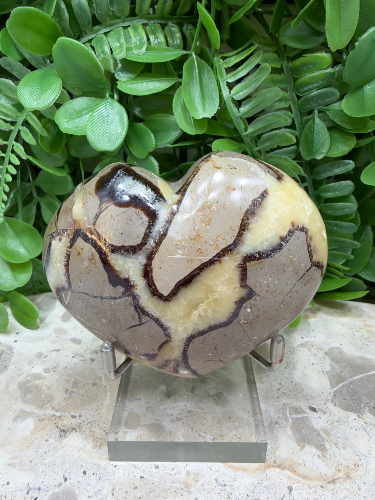 Septarian Dragon Stone Heart 290g