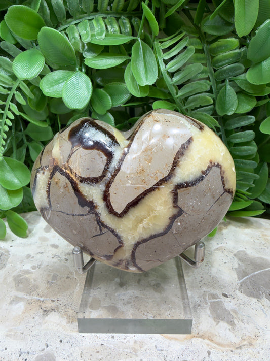 Septarian Dragon Stone Heart 290g