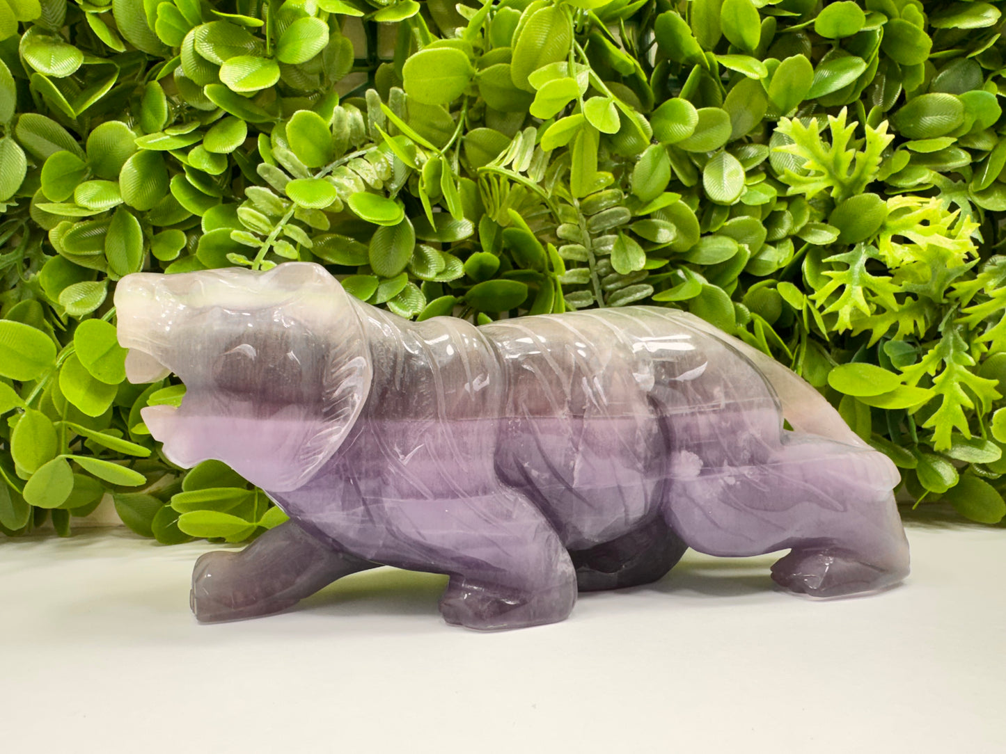 Fluorite Tiger 1498g