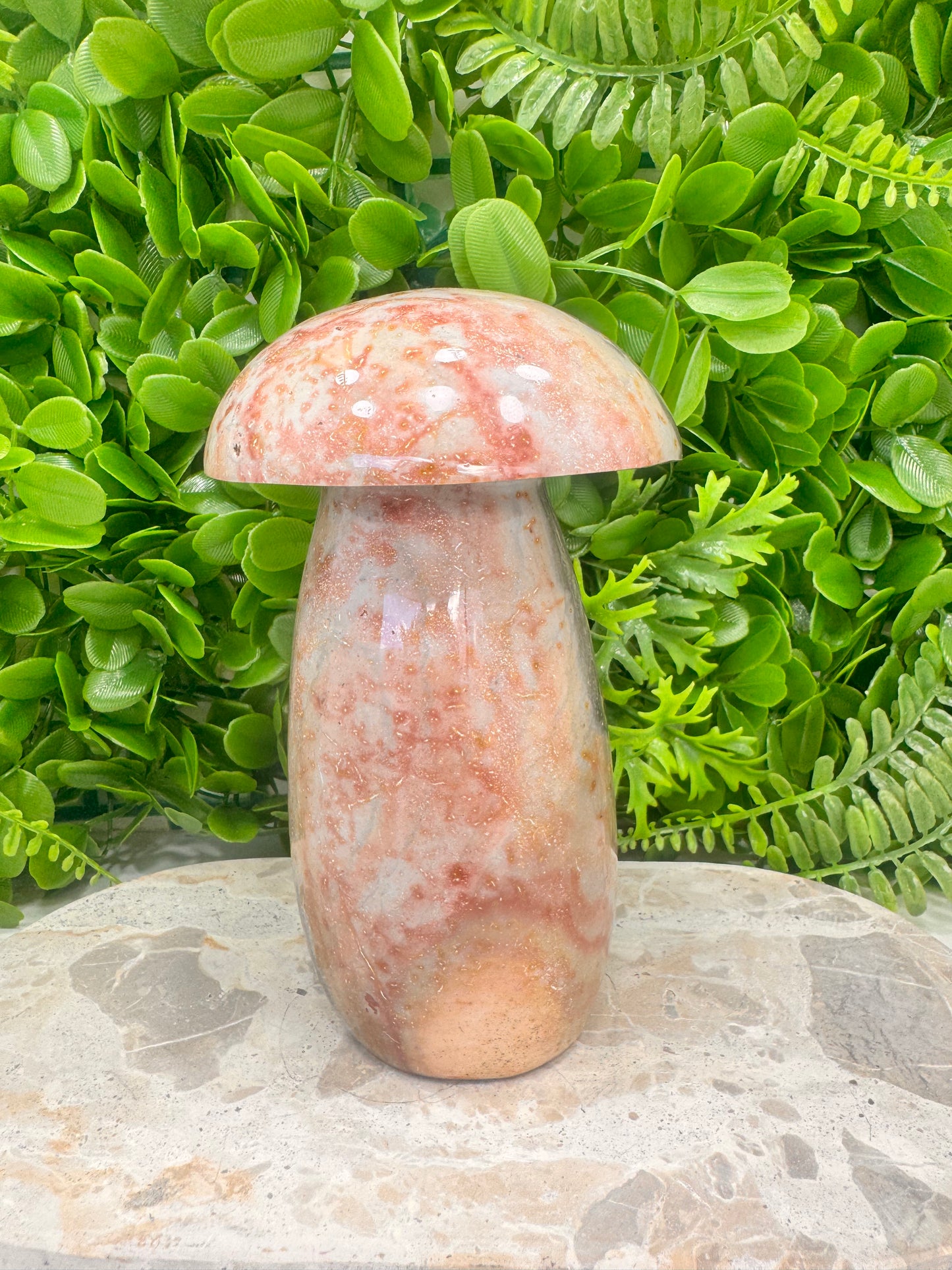 Ocean Jasper Mushroom 1.6kg