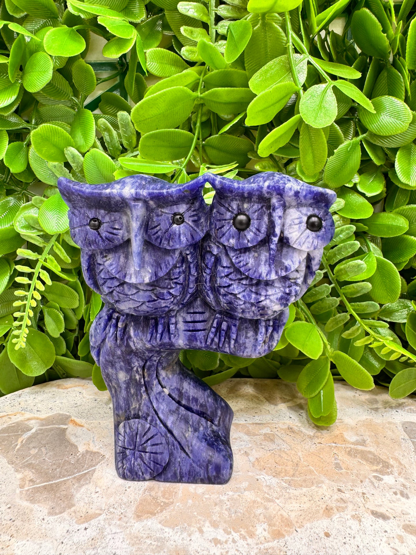 Twin Owl Sodalite 530g