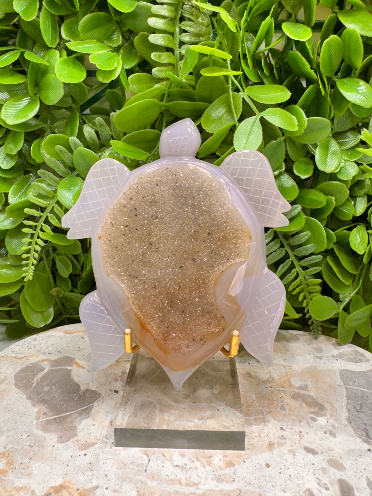 Druzy Agate Turtle 290g