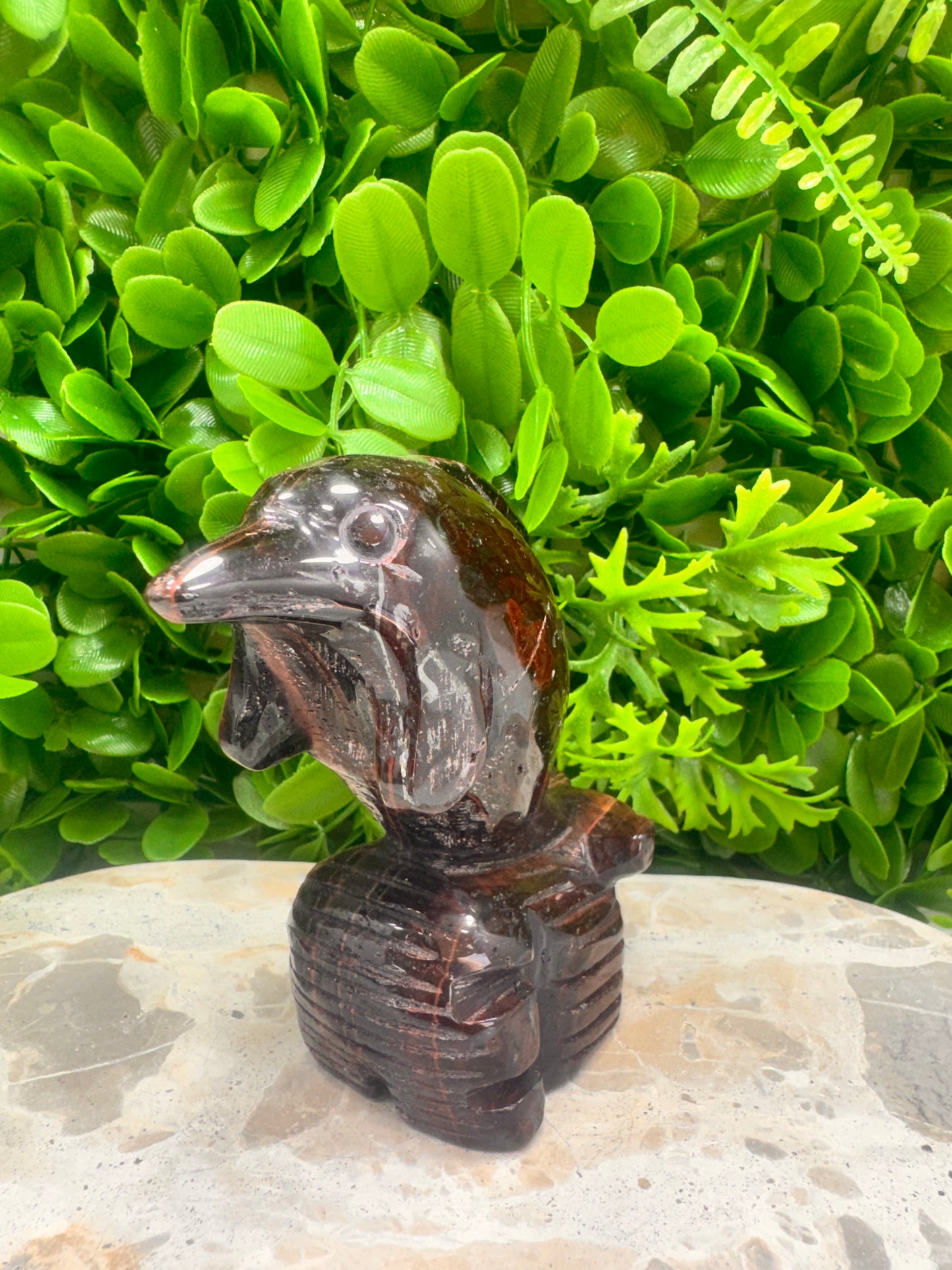 Red Tigers Eye Dolphin 616g
