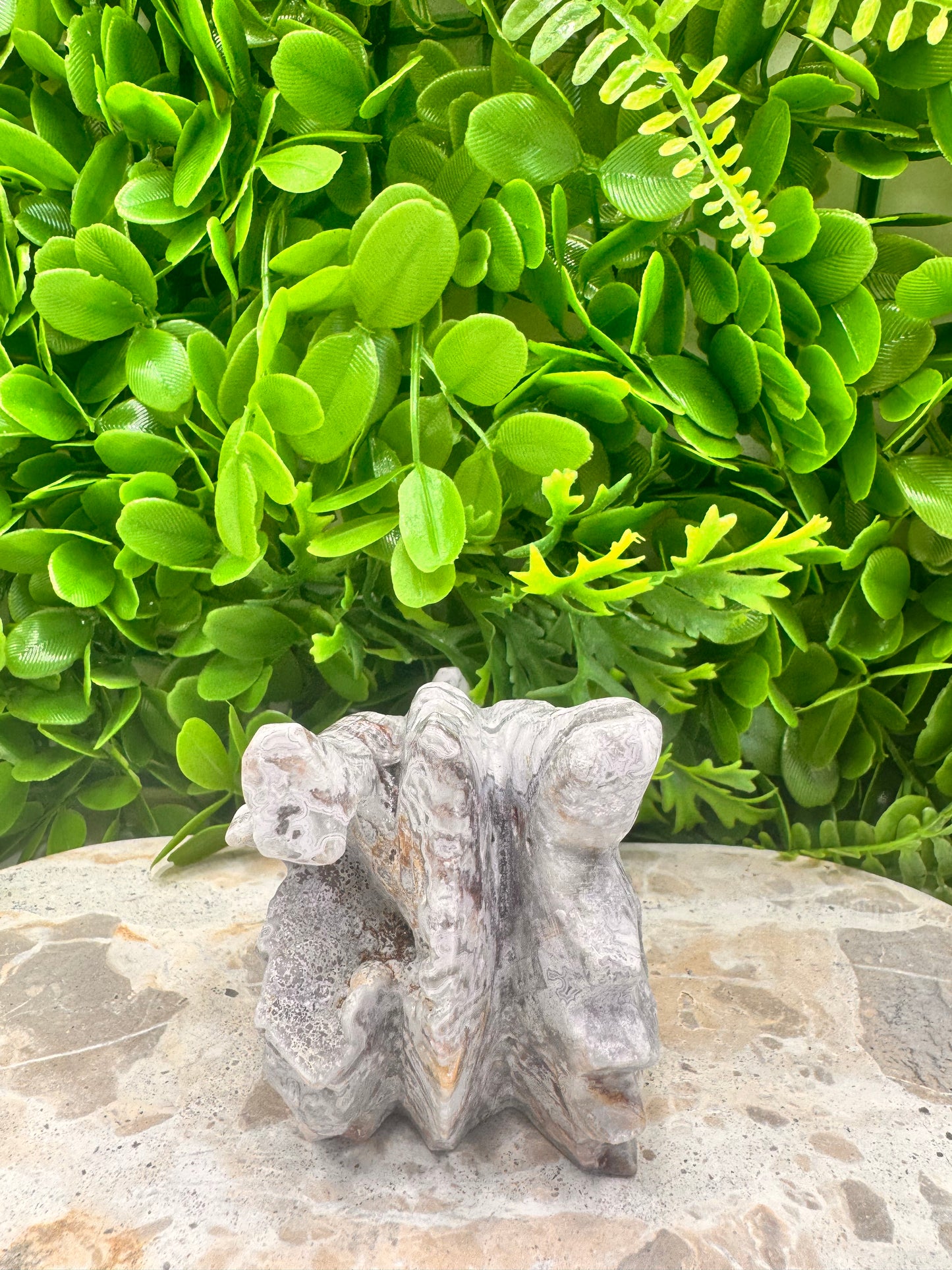 Mexican Agate Druzy Dragon Skull 620g