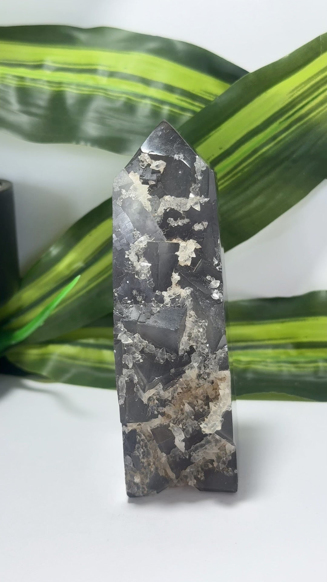 Fluorite Tower Freeform 544g