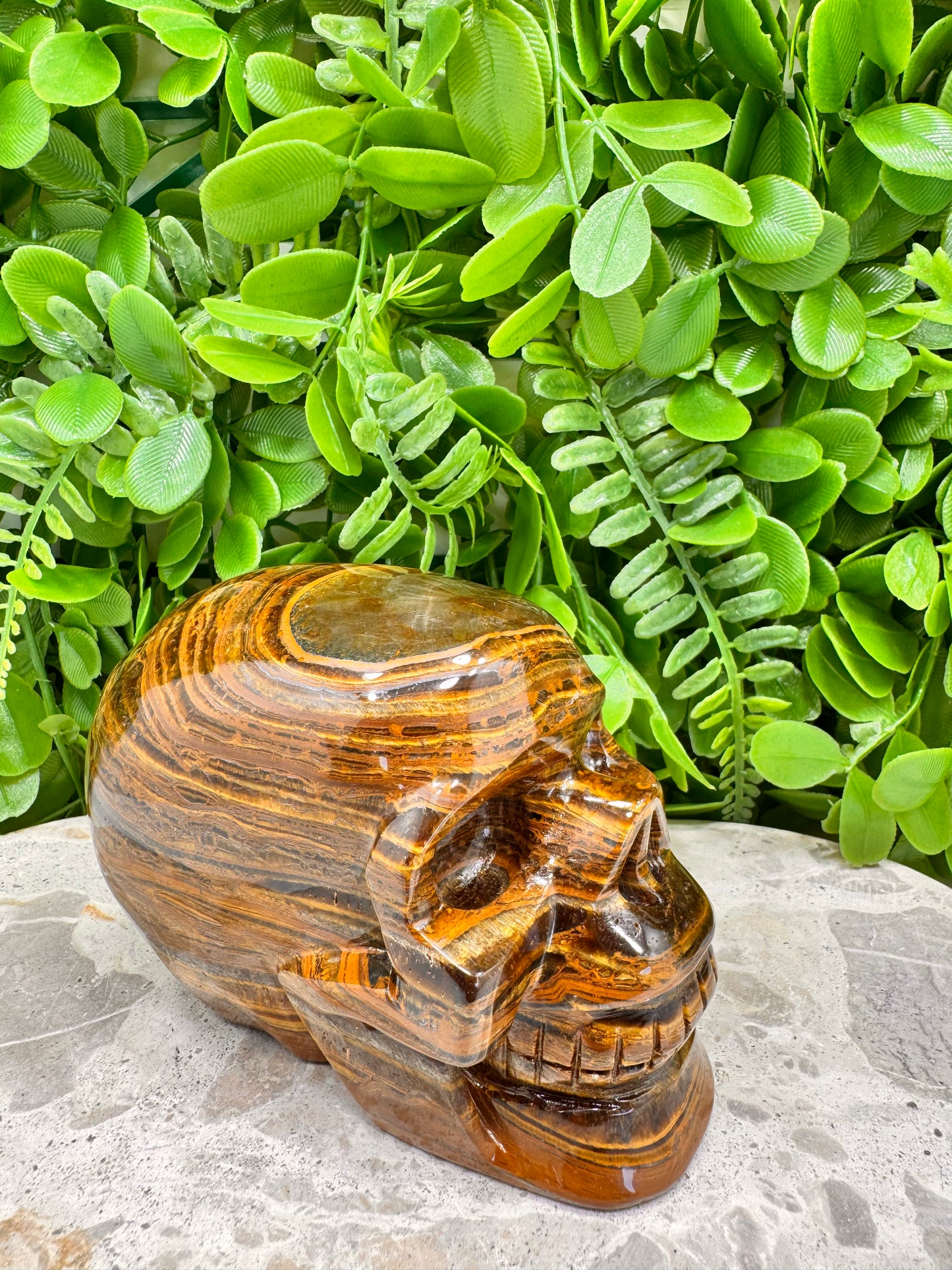 Tiger Ore Skull 1100g
