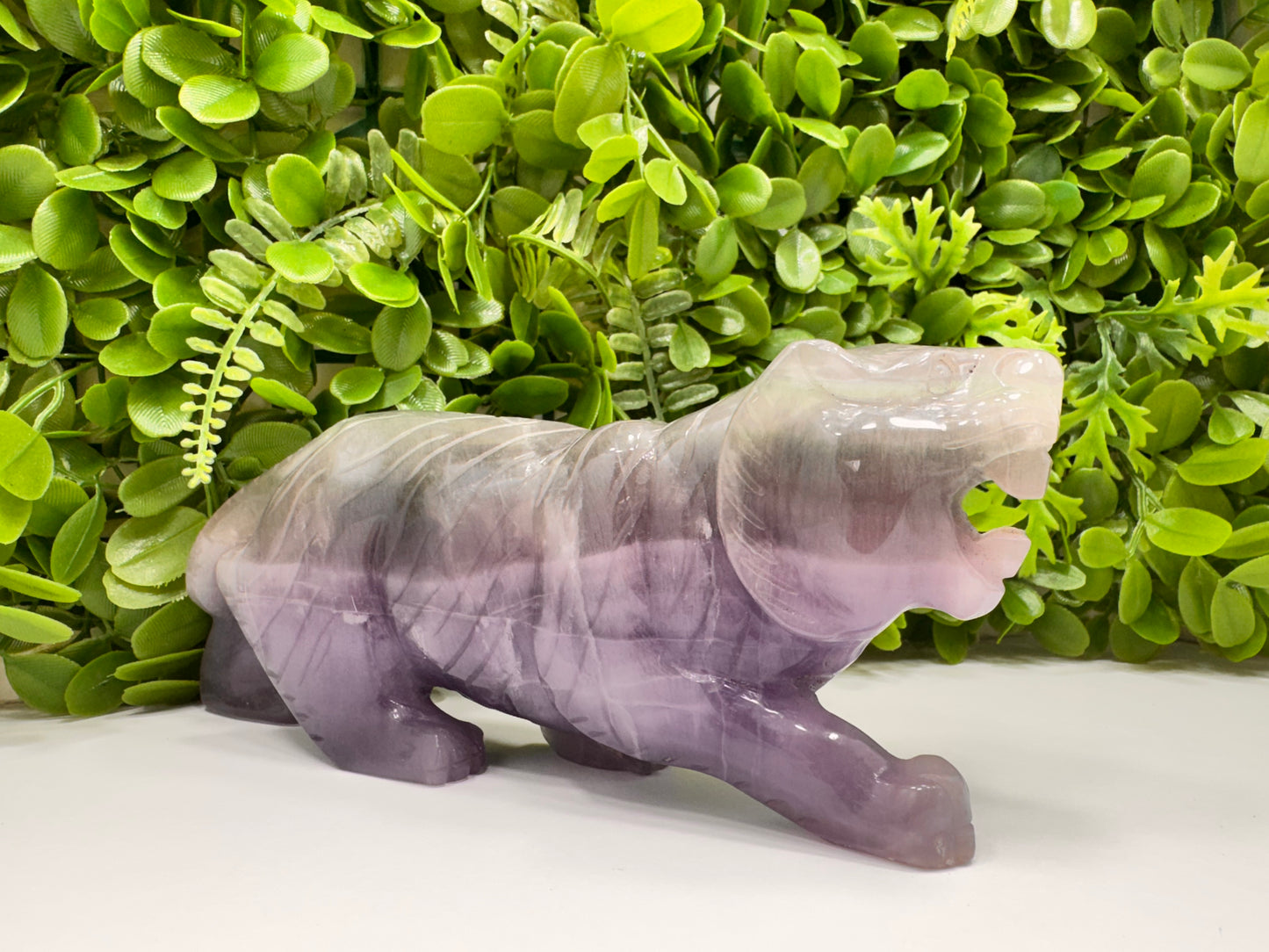 Fluorite Tiger 1498g