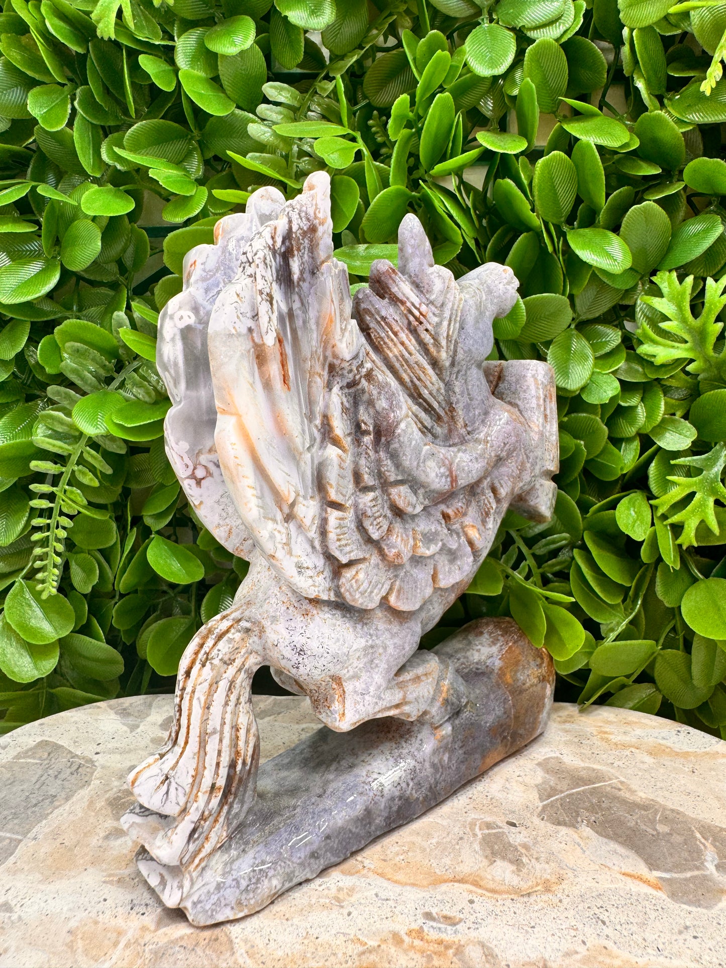 Ocean Jasper Pegasus 1012g