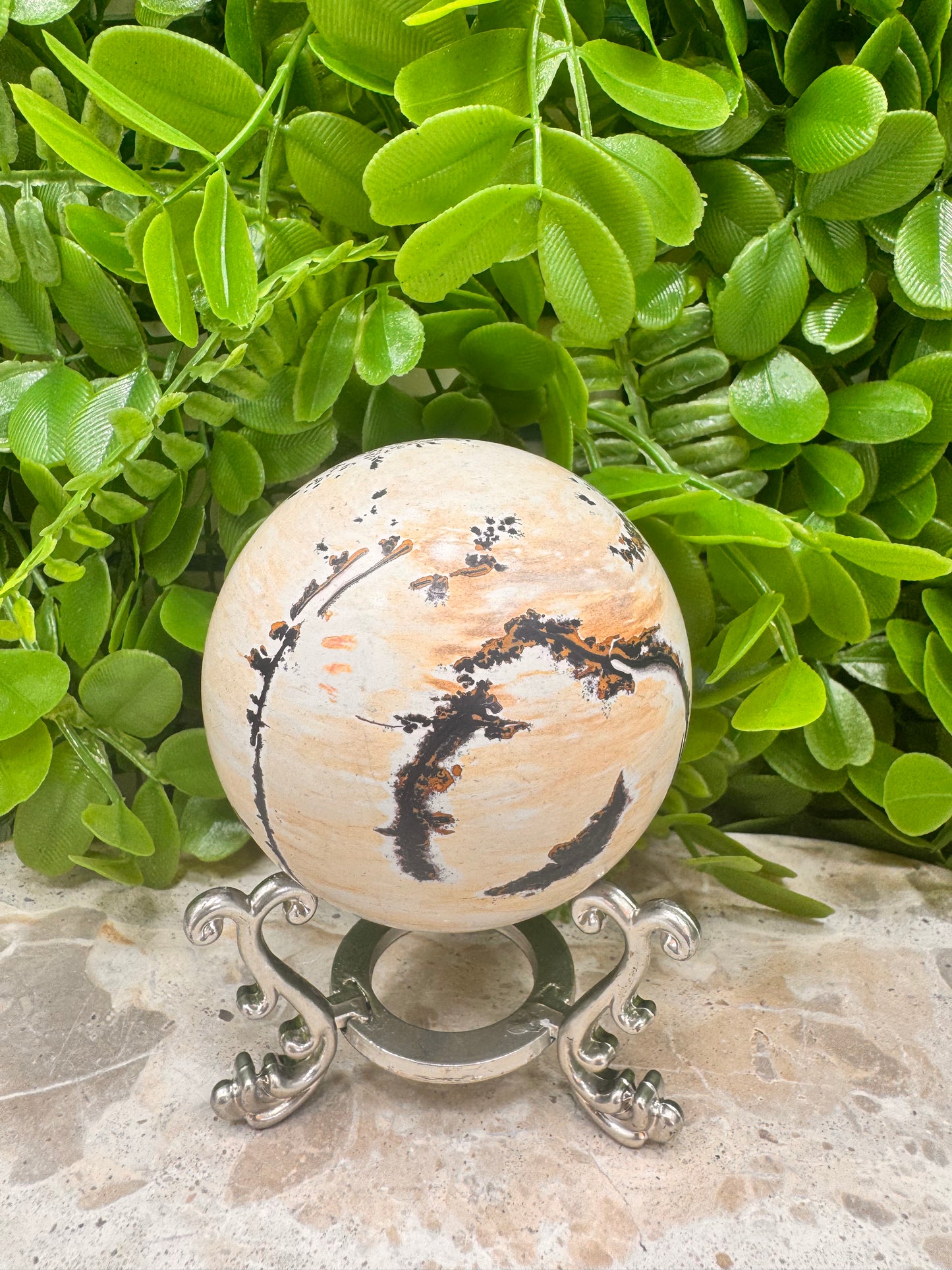 Picture Jasper Sphere 466g