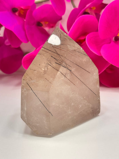 Rutile Quartz Freeform 815g