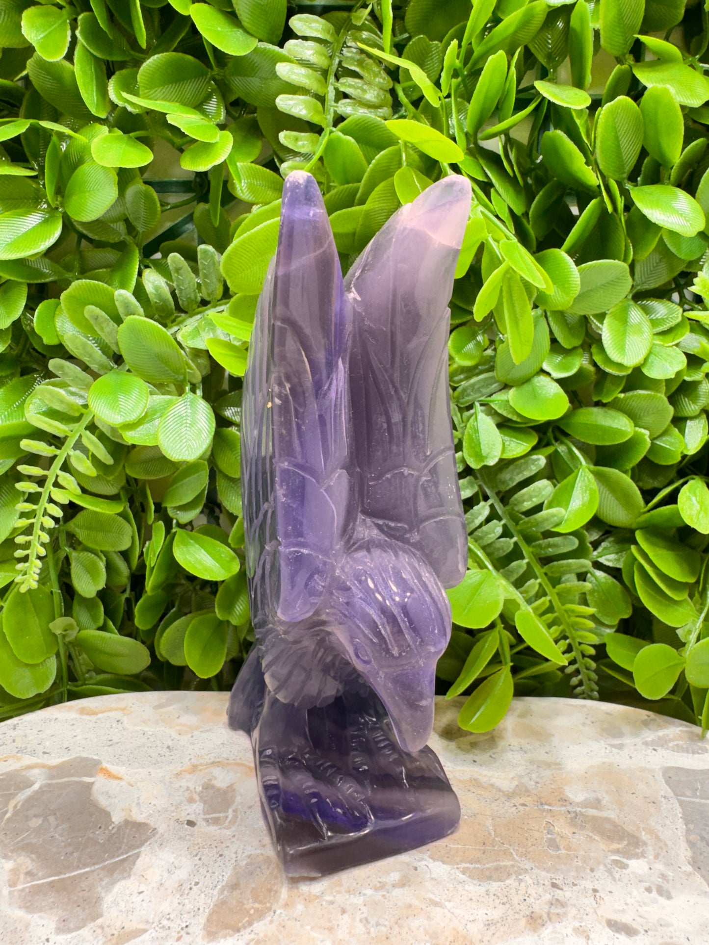 Fluorite Eagle 728g