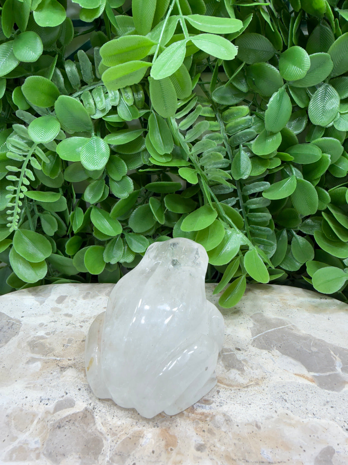 Clear Quartz Frog 308g