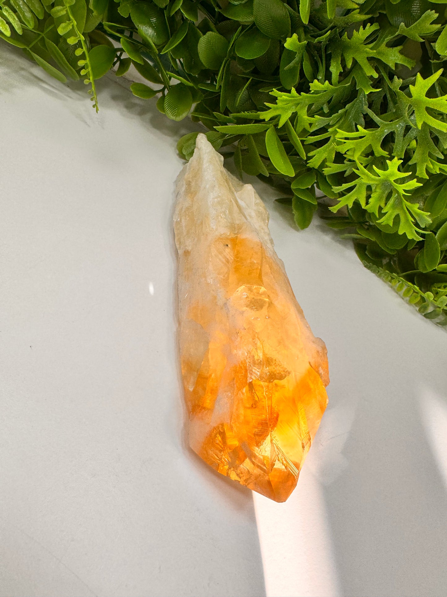 Citrine Septre Freeform 504g