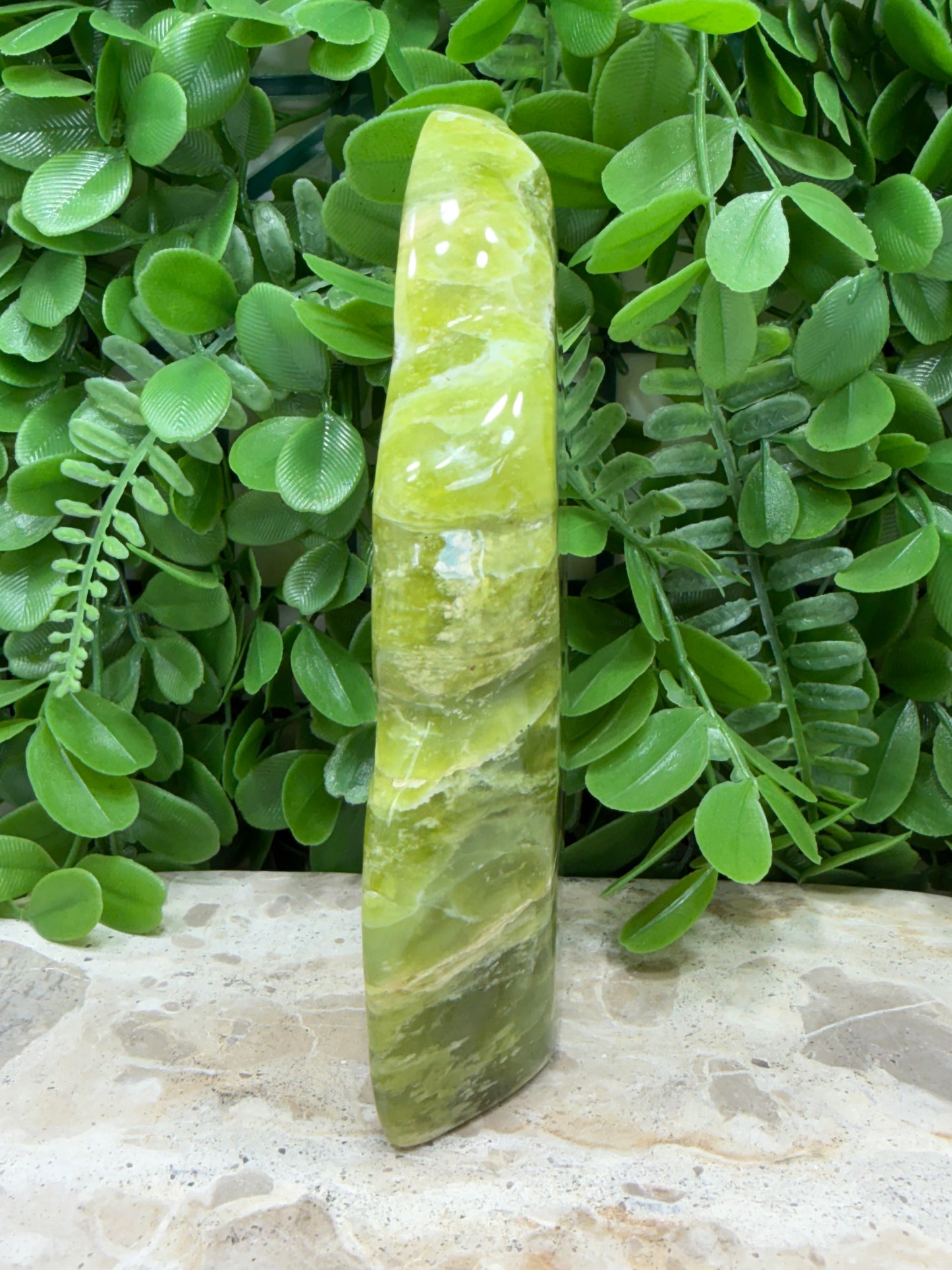 Lizard Serpentine Freeform 550g