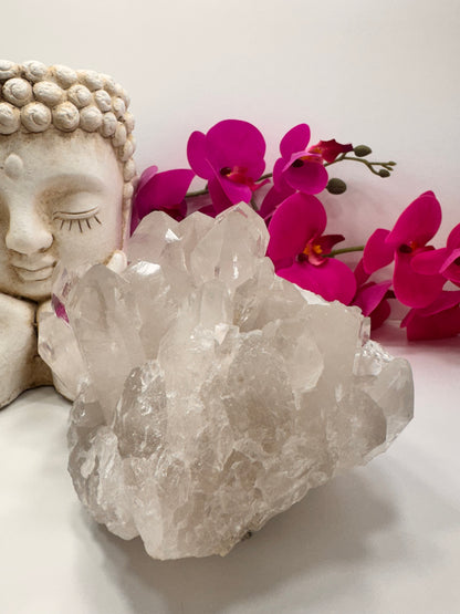 Clear Quartz Cluster 3218g