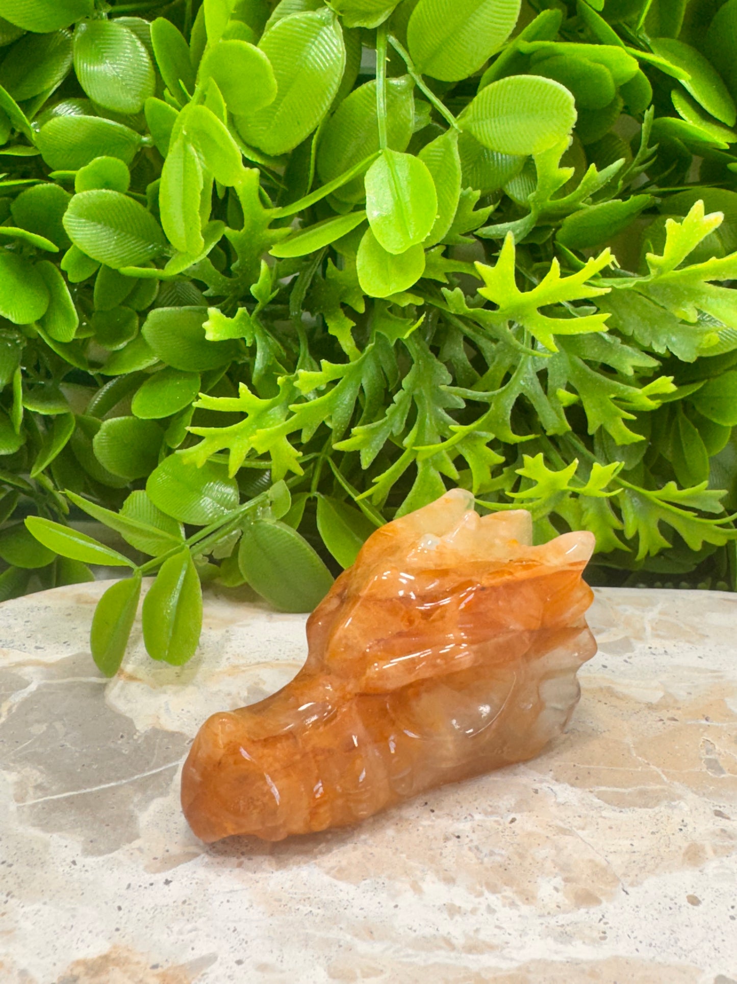 Golden Healer Dragon Skull 156g