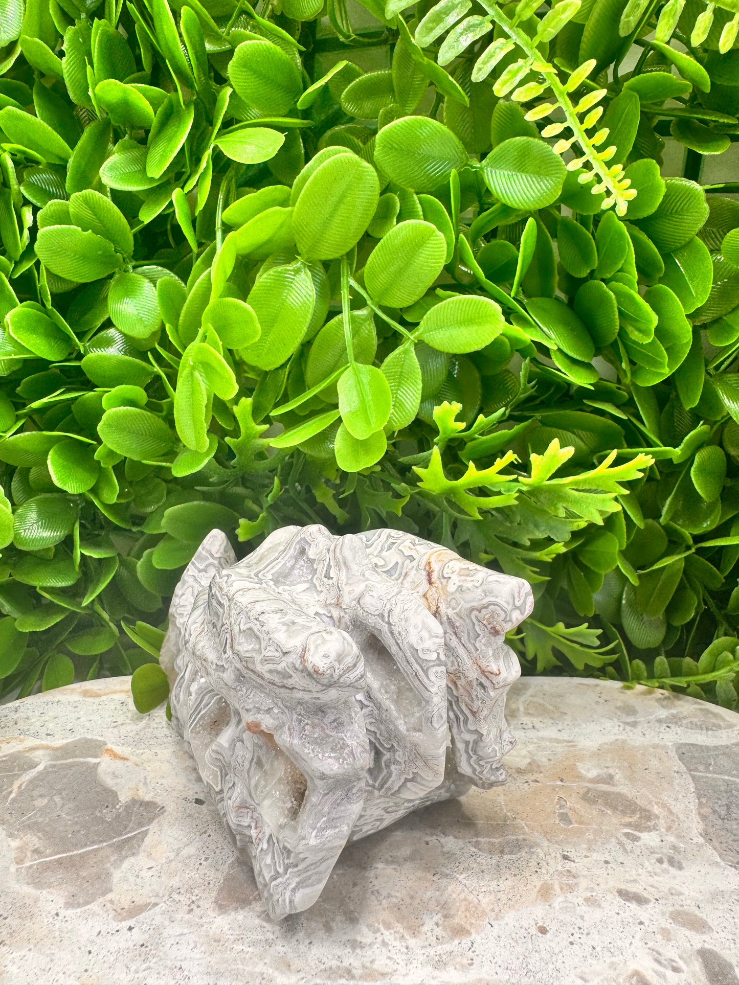 Mexican Agate Druzy Dragon Skull 594g