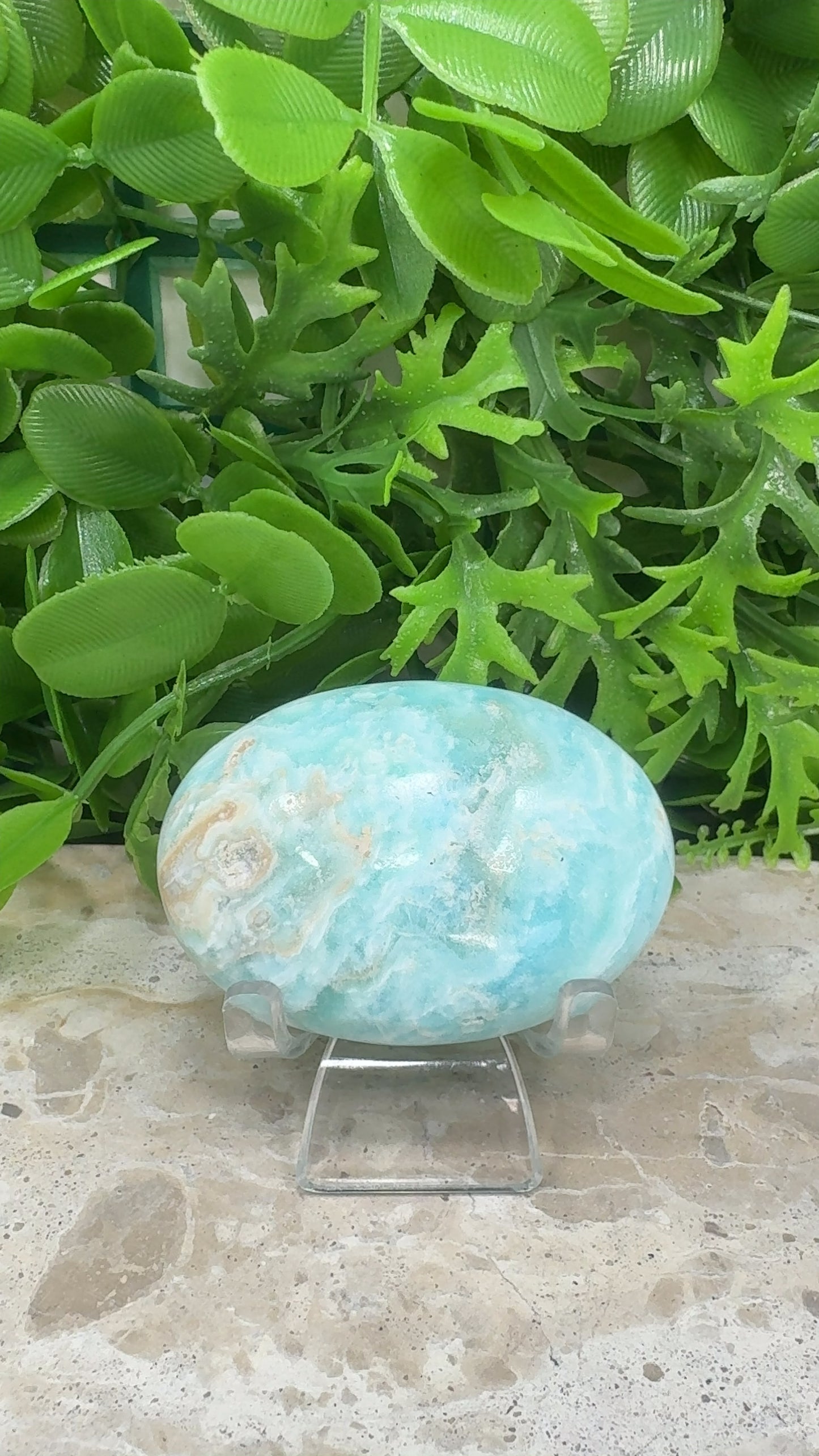 Aragonite Palm Stone 106g