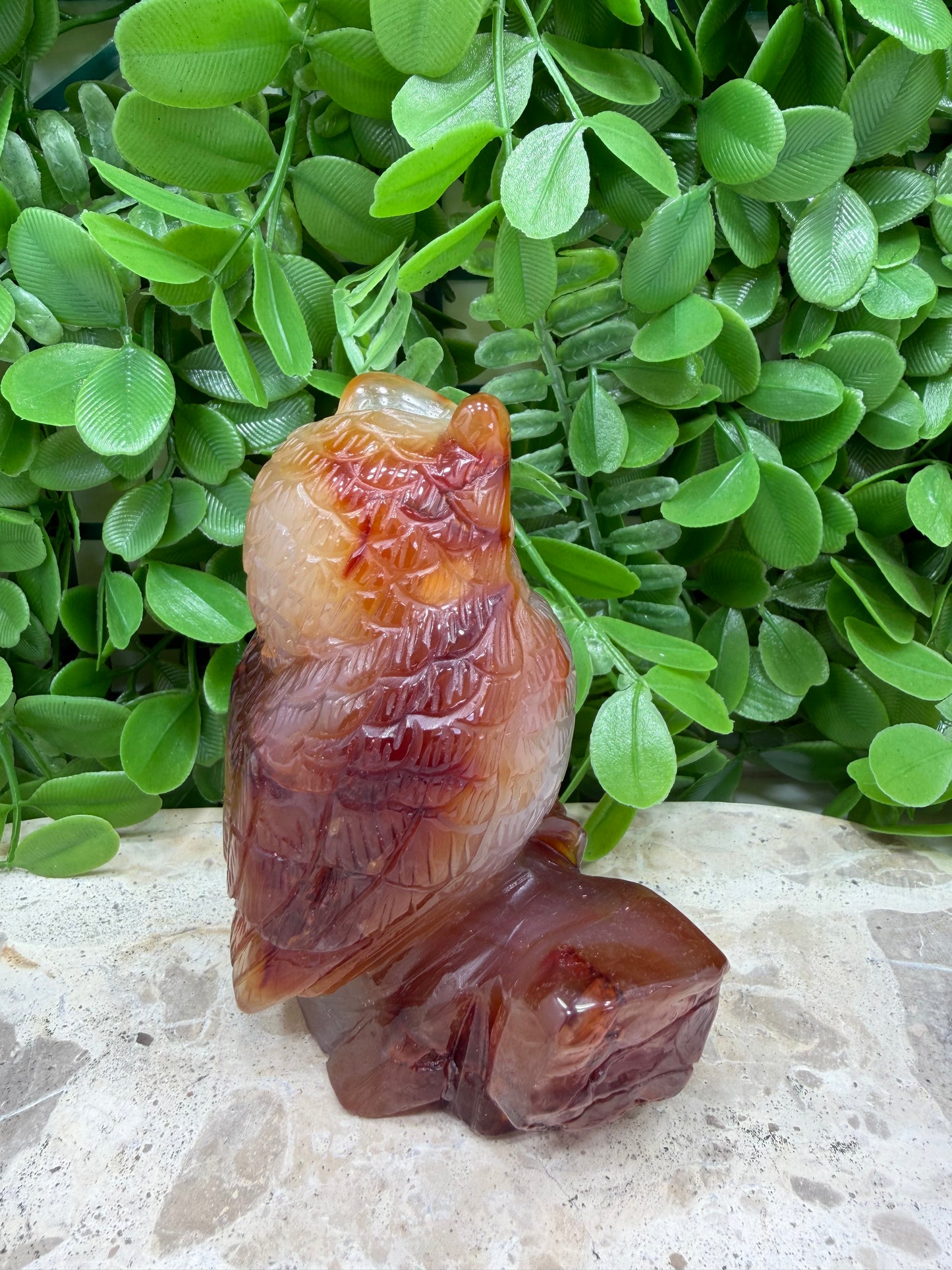 Carnelian Owl 480g