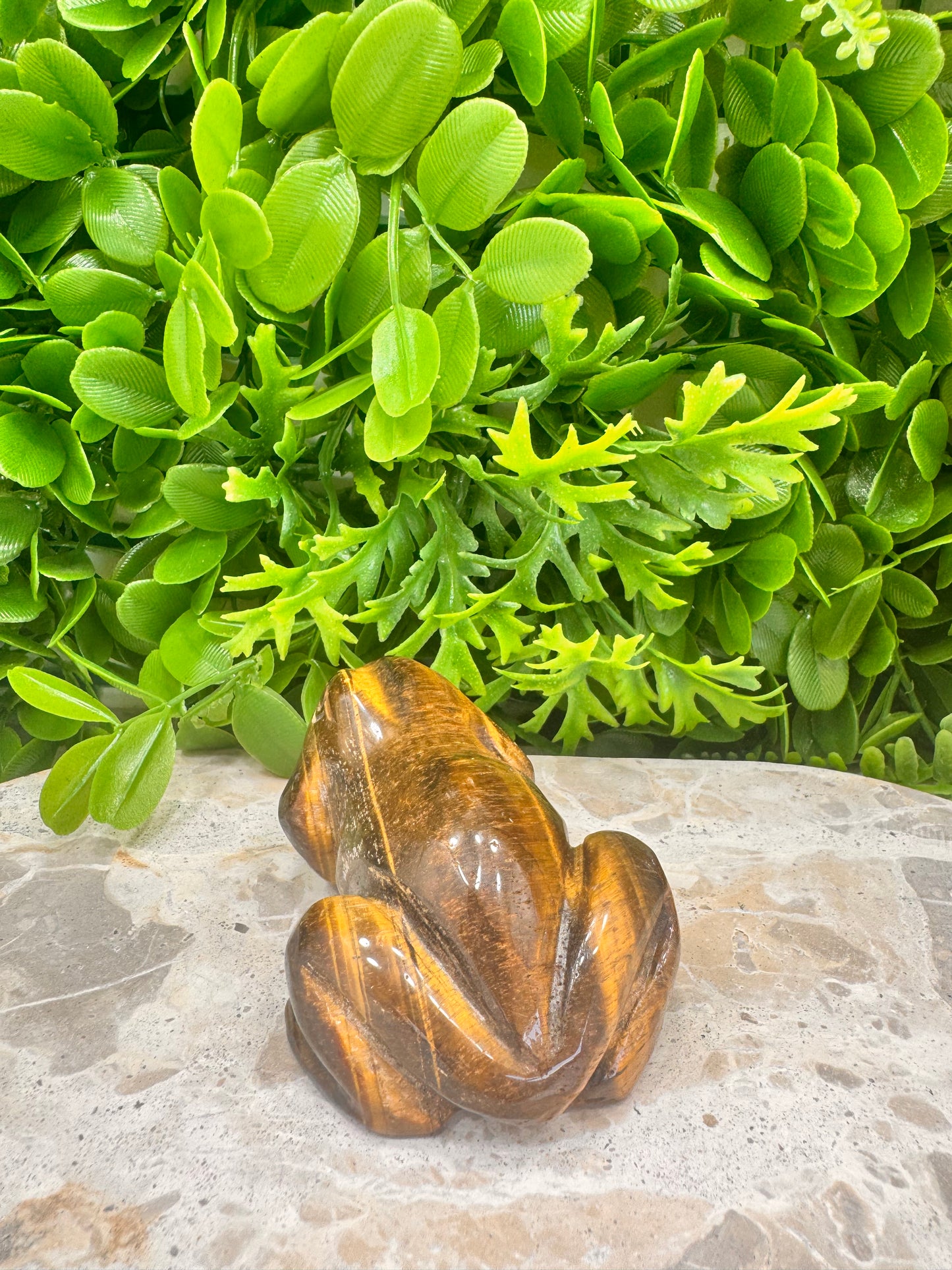 Tiger Eye Frog 260g