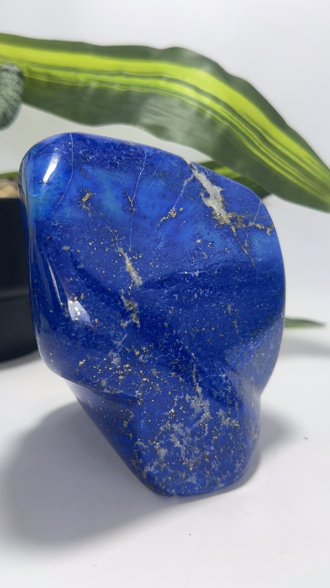Lapis Lazuli Freeform 1586g