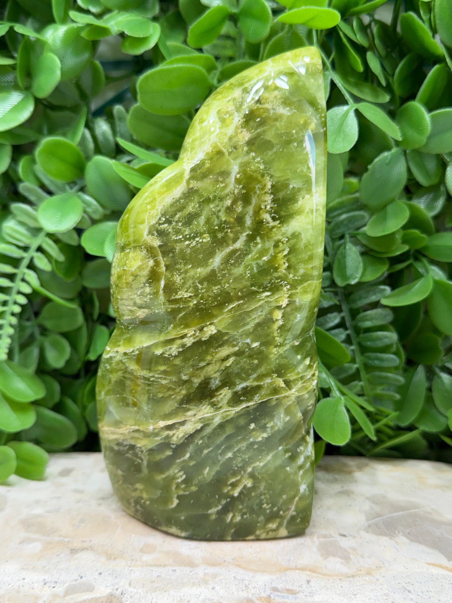 Lizard Serpentine Freeform 550g