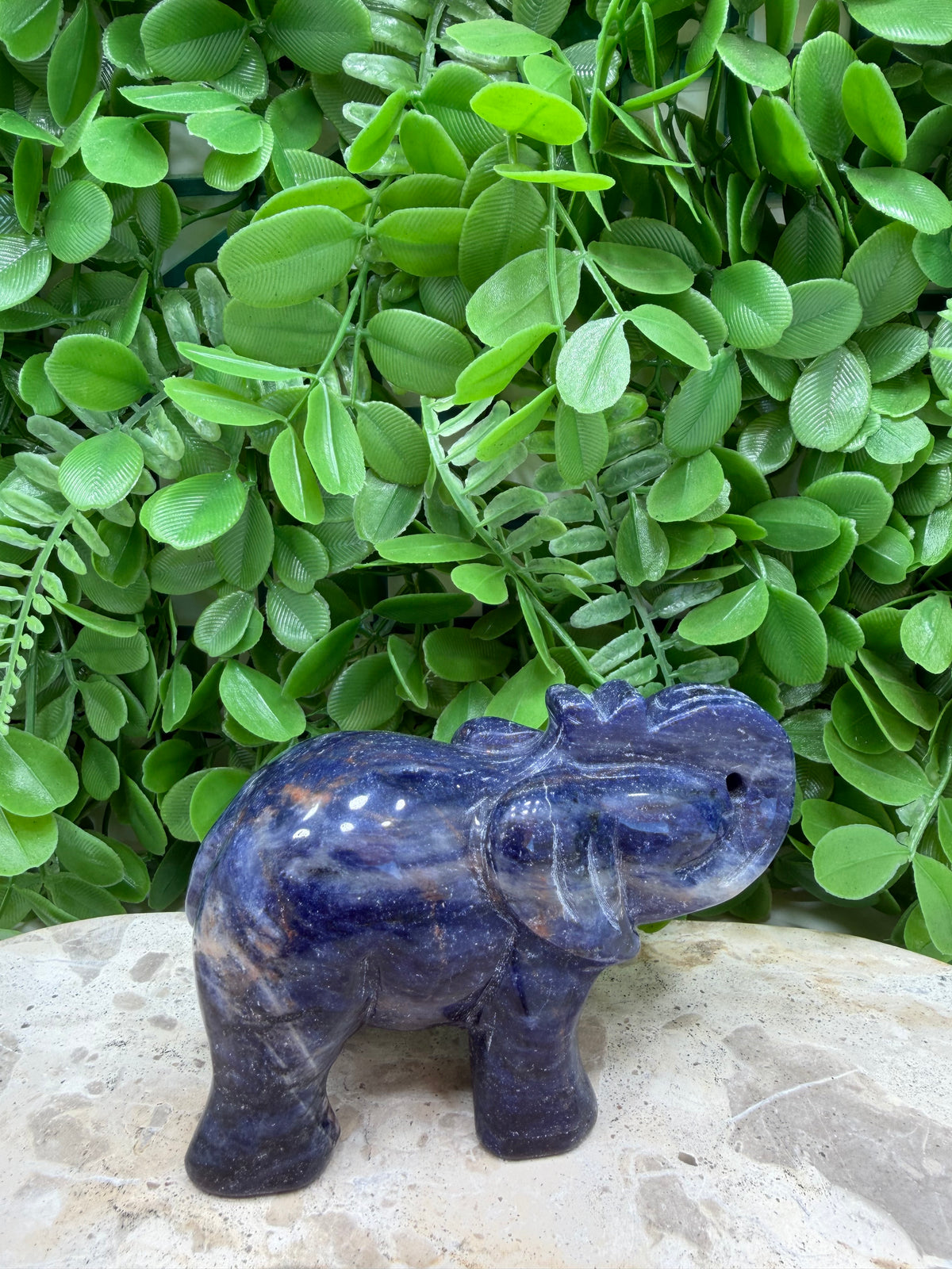 Sodalite Elephant 408g | Intuition • Communication • Clarity