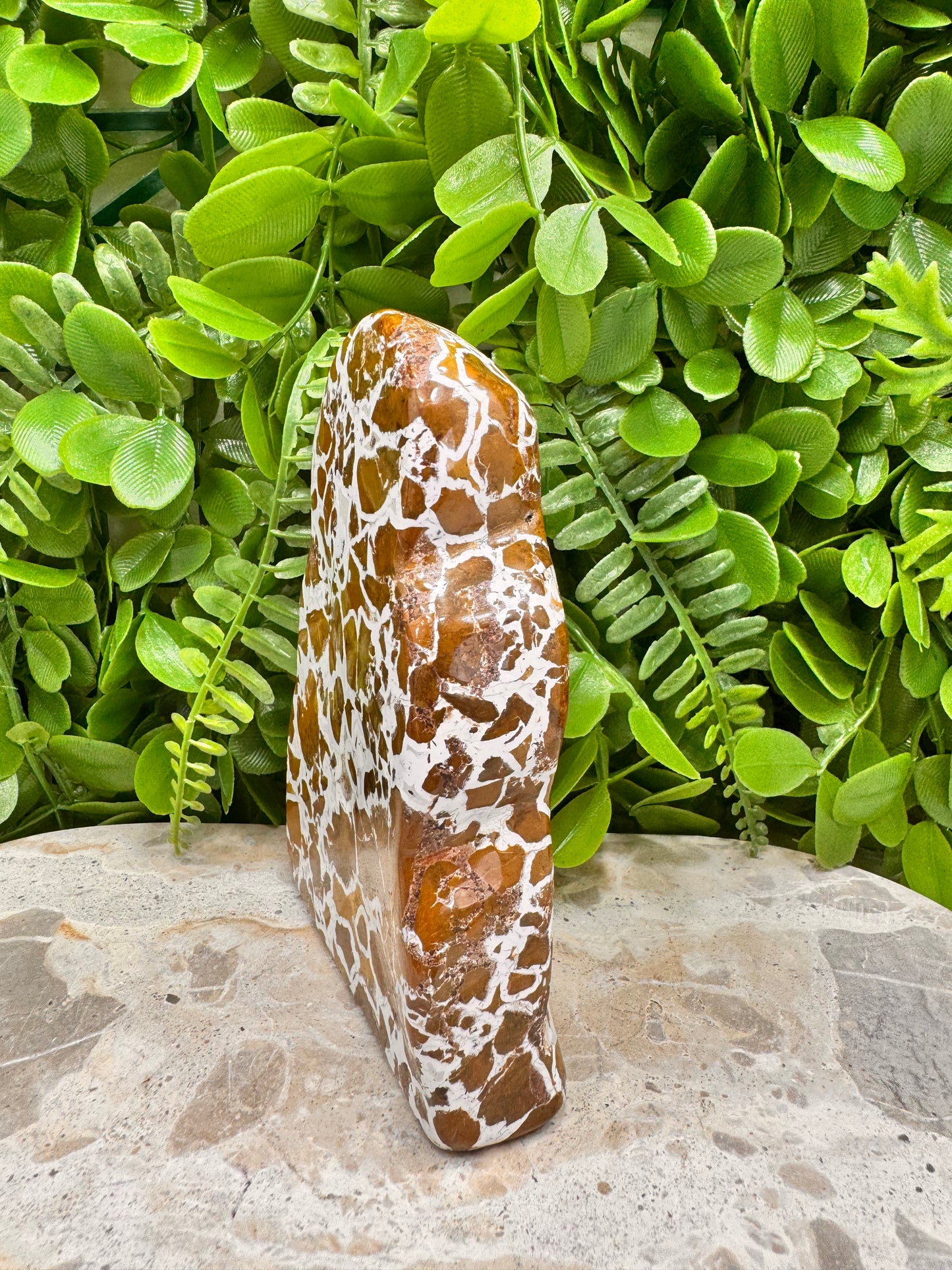 Jasper Agate Freeform 568g