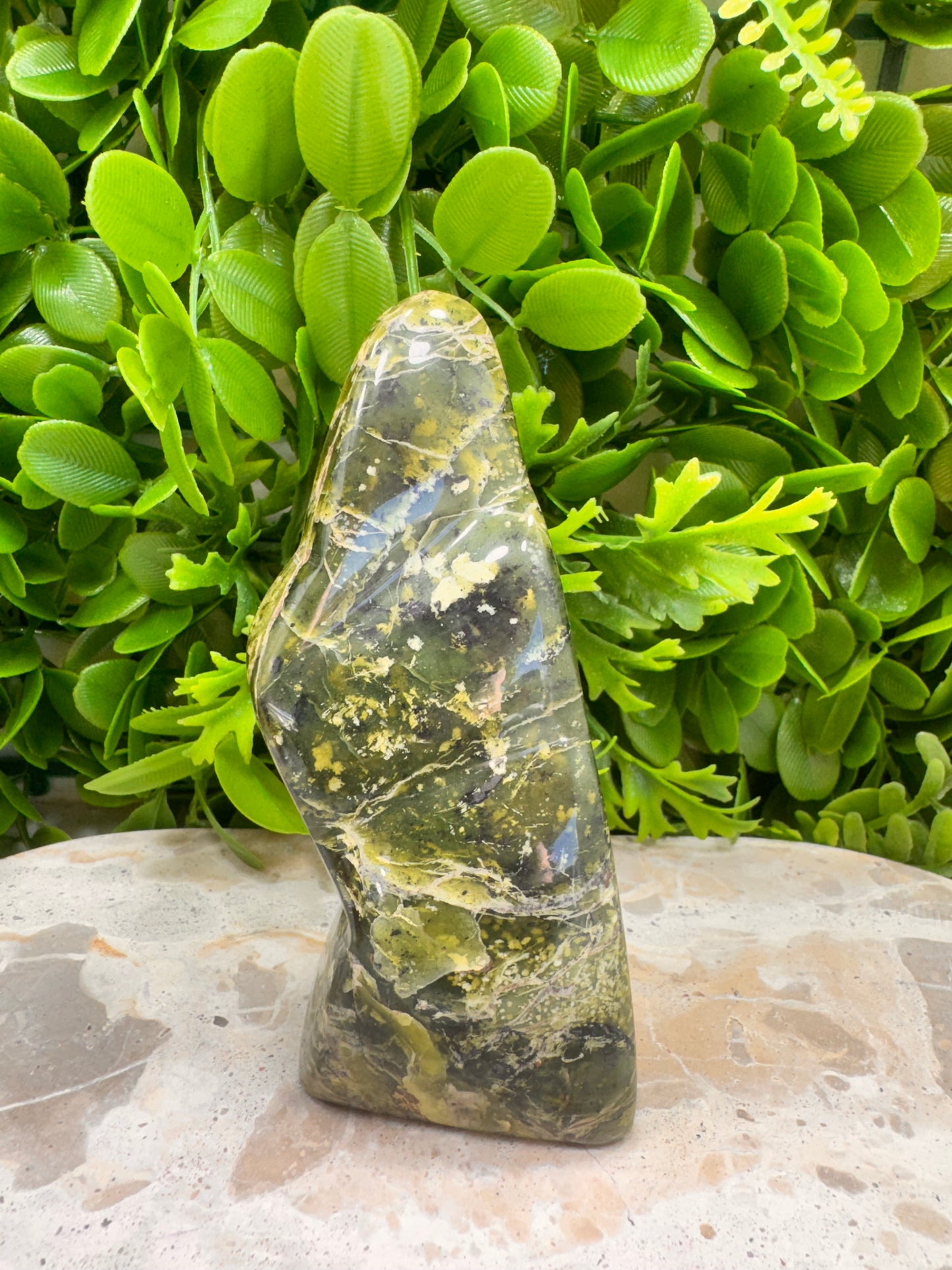 Nephrite Jade Freeform 294g