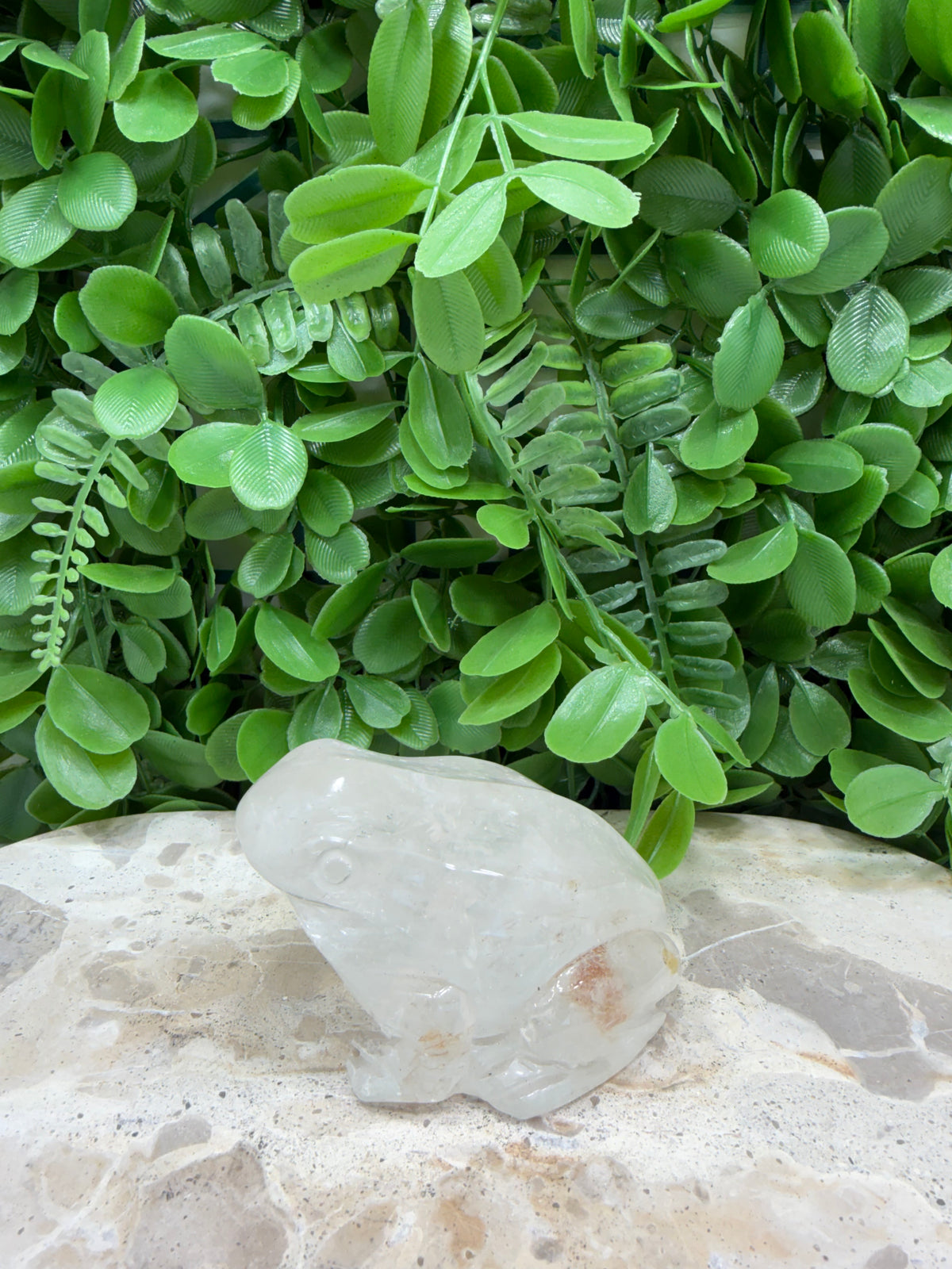 Clear Quartz Frog 308g