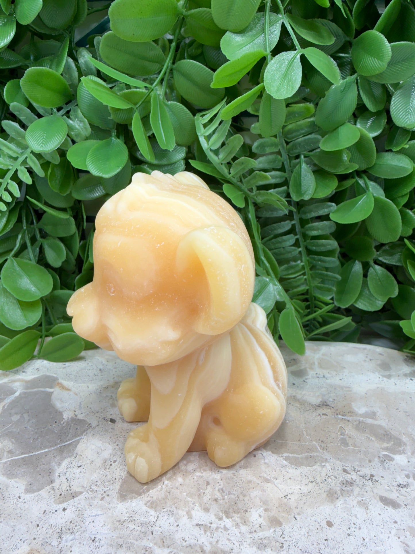 Orange Banded Calcite Lion Cub 574g