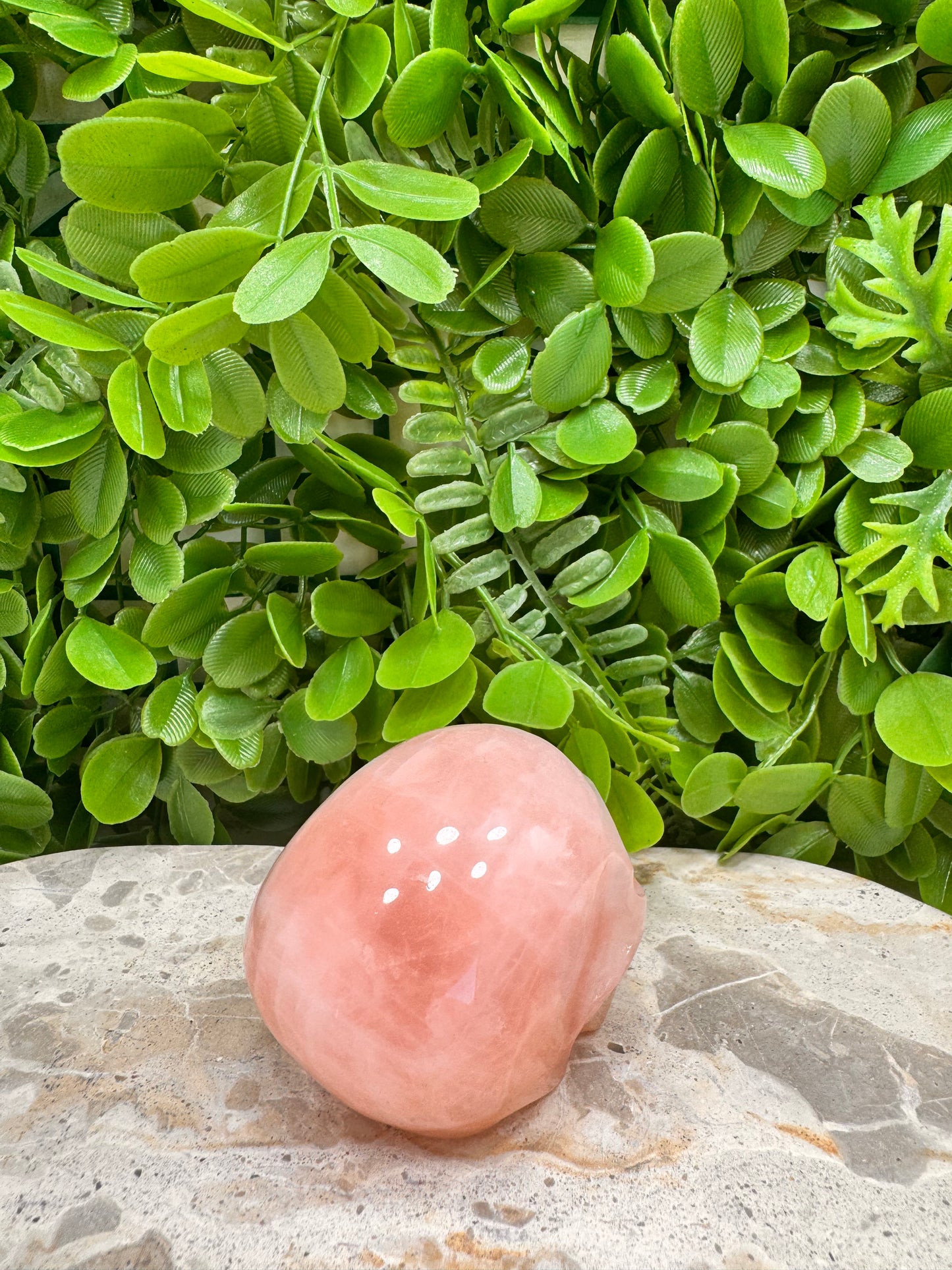 Rose Quartz Skull 350g