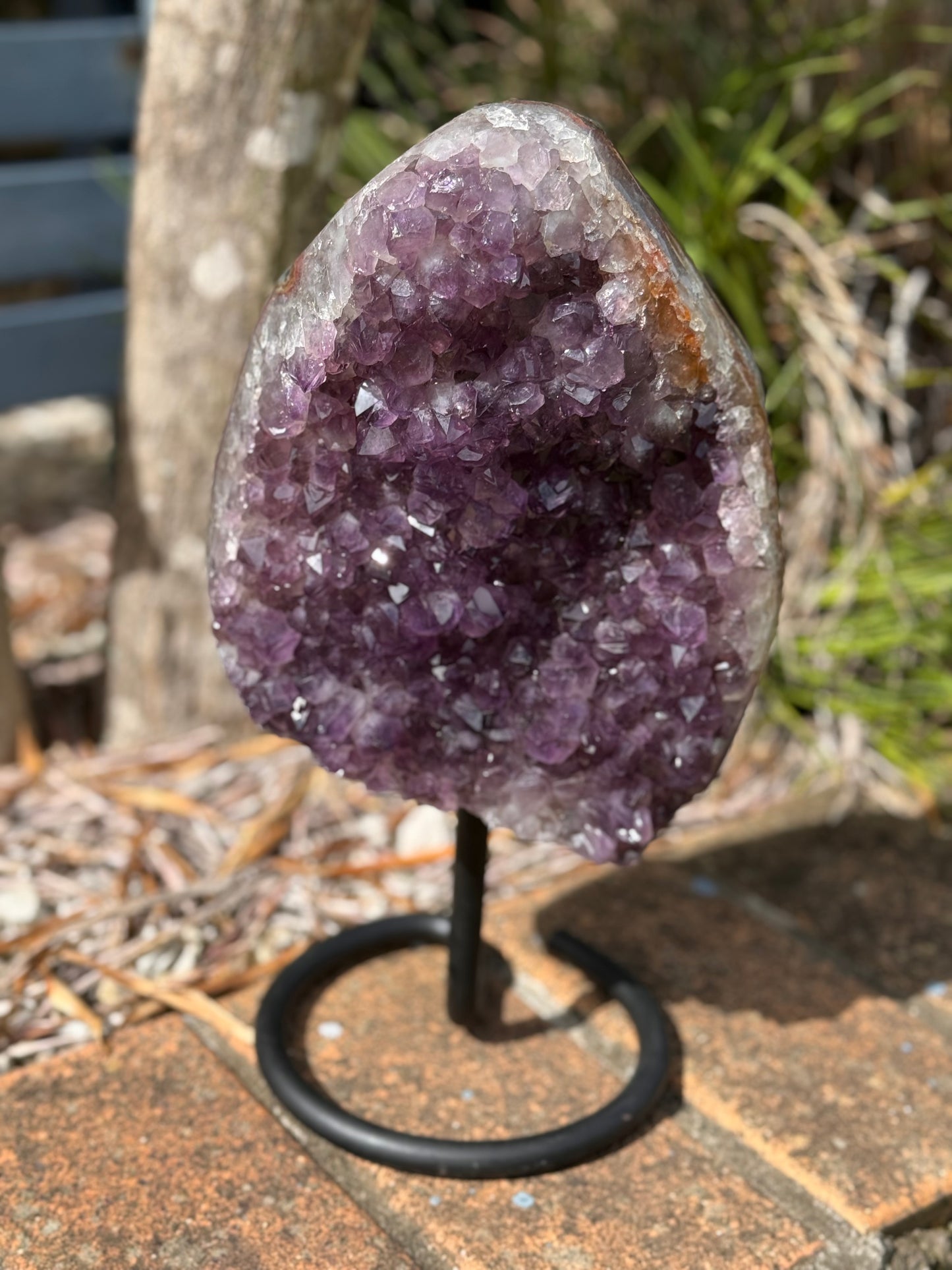 Amethyst Cluster Freeform with Stand 5.6kg A Grade