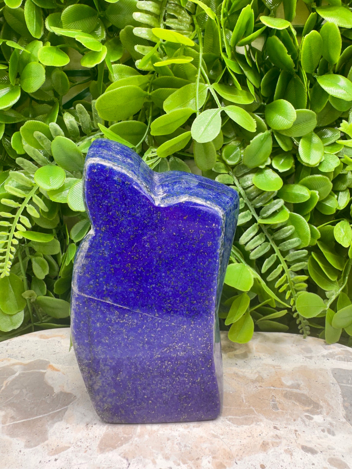 Lapis Lazuli Freeform 672g