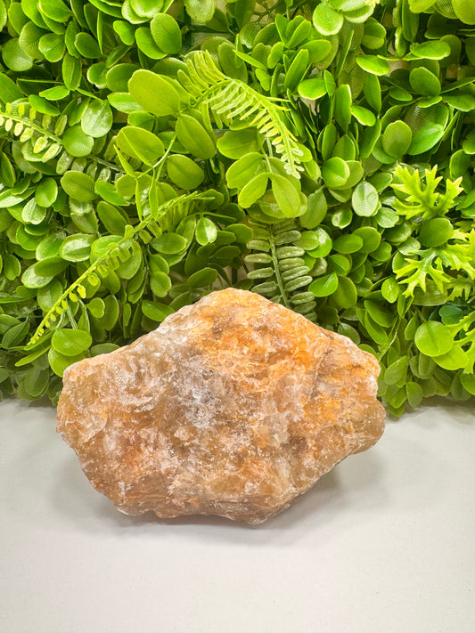 Golden Healer Raw 2060g