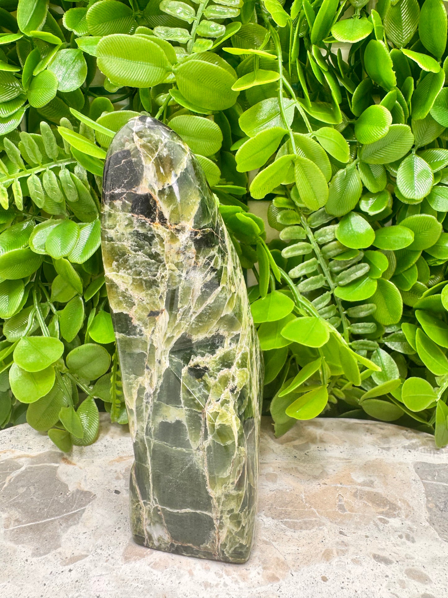 Tremolite Freeform 662g